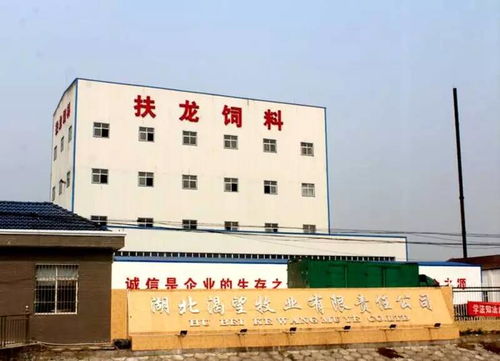 深耕本土，創新制勝 一家湖北小龍蝦飼料企業的萬噸級突圍之路